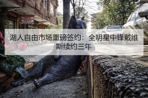 湖人自由市场重磅签约：全明星中锋戴维斯续约三年