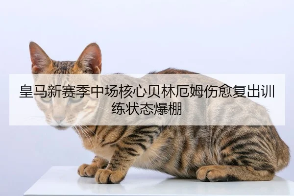 皇马新赛季中场核心贝林厄姆伤愈复出训练状态爆棚